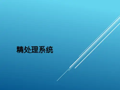电厂直流炉精处理系统讲解