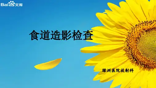 食管造影检查的介绍