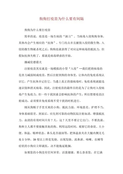 狗狗打疫苗为什么要有间隔