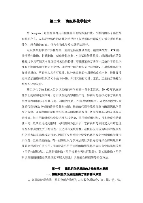 酶组织化学技术