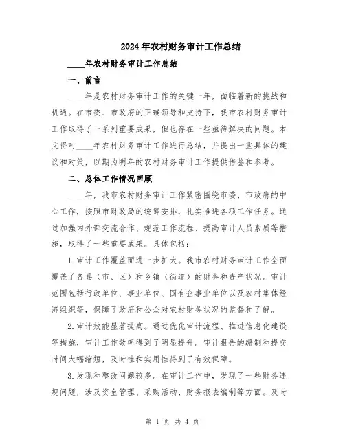 2024年农村财务审计工作总结