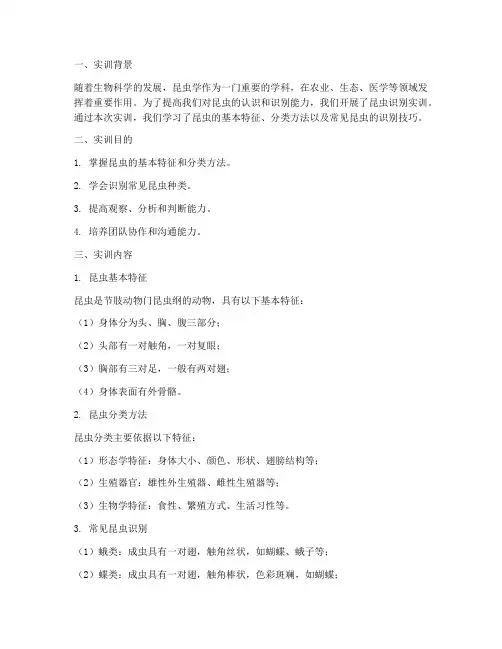 识别昆虫实训报告