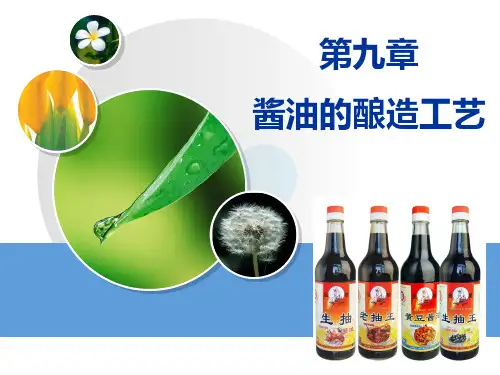 酱油的酿造工艺培训课程