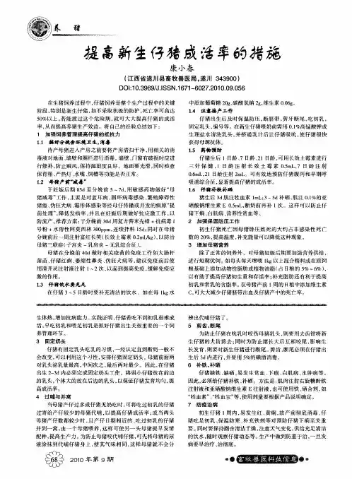 提高新生仔猪成活率的措施