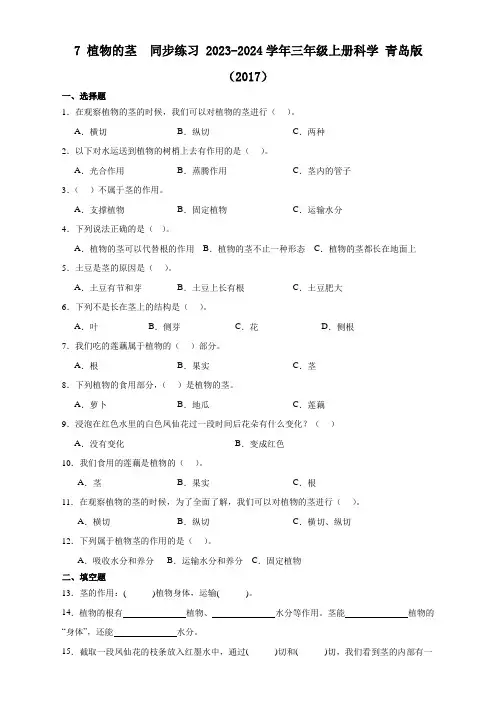 (青岛版2017)2023年最新三年级科学上册《第7课 植物的茎》 (同步练习)