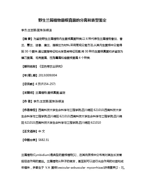 野生兰属植物菌根真菌的分离和表型鉴定