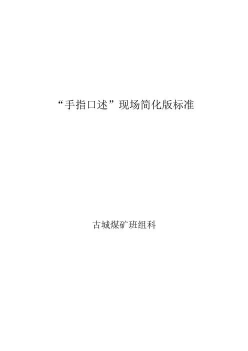 ”手指口述“现场简化版标准