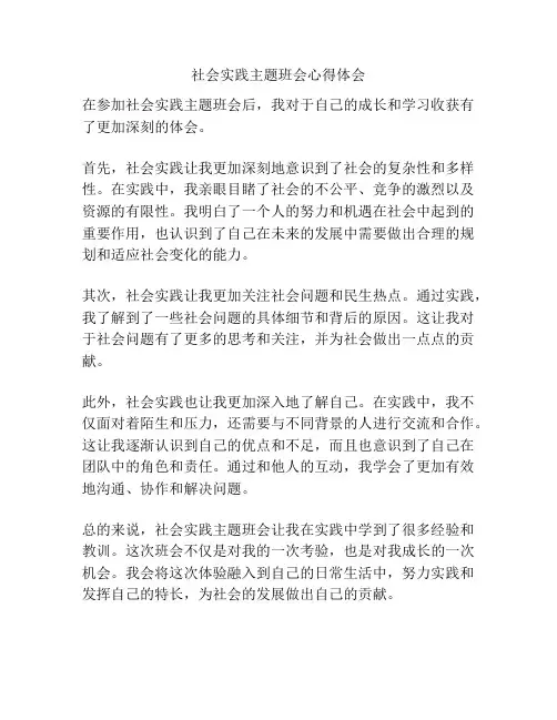 社会实践主题班会心得体会