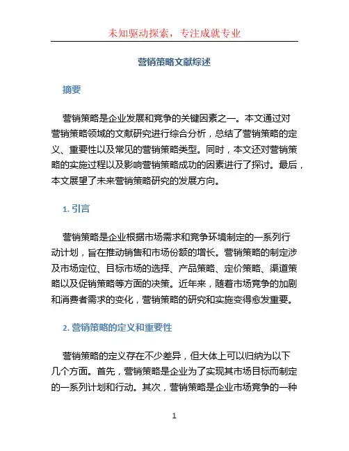 营销策略文献综述