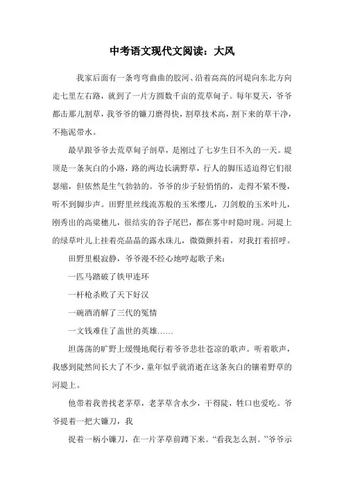 中考语文现代文阅读：大风.doc