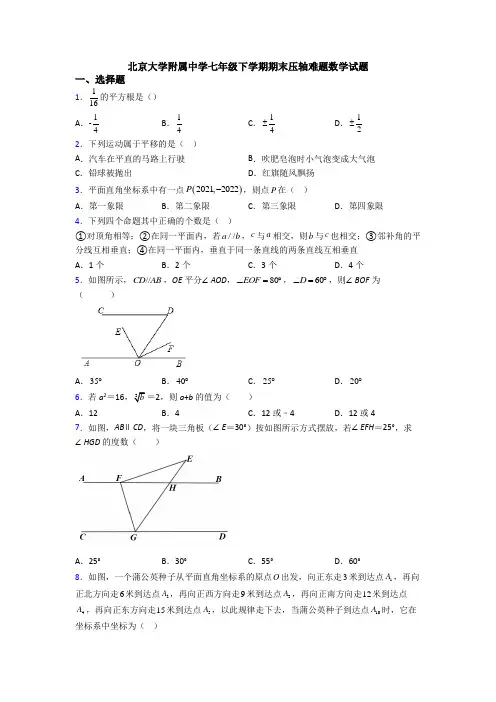 北京大学附属中学七年级下学期期末压轴难题数学试题
