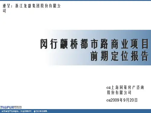 闵行颛桥都市路商业项目前期定位报告172P(一)参考课件