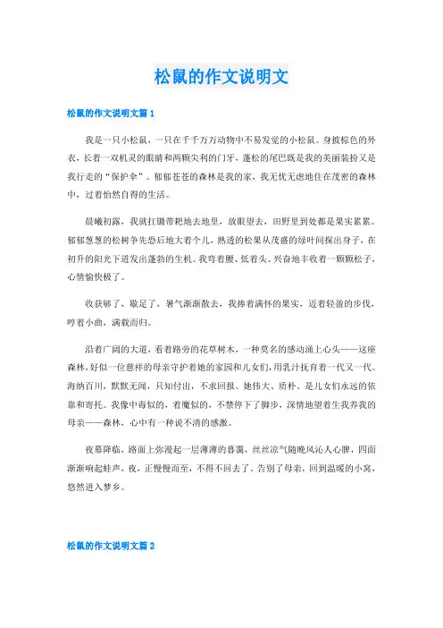 松鼠的作文说明文