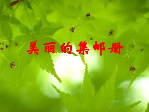 《美丽的集邮册》教学课件(1)