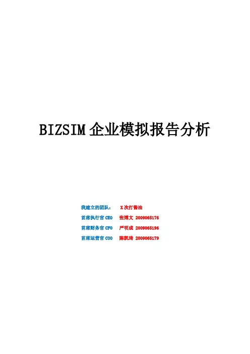 bizsim分析