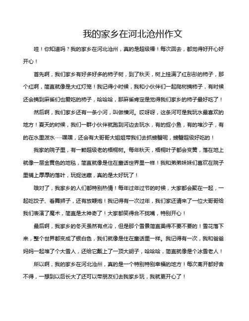 我的家乡在河北沧州作文