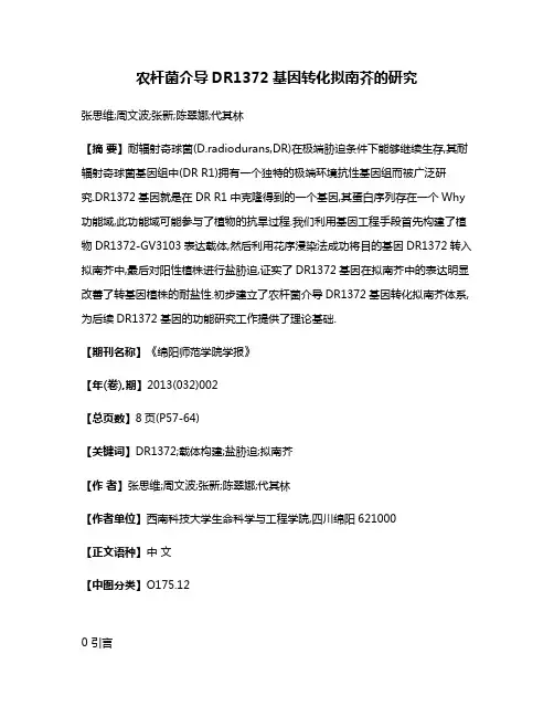 农杆菌介导DR1372基因转化拟南芥的研究