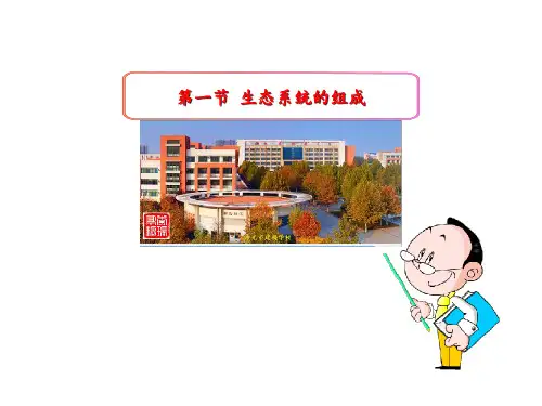 6.2.1  生态系统的组成 课件 2020-2021学年济南版八年级生物下册