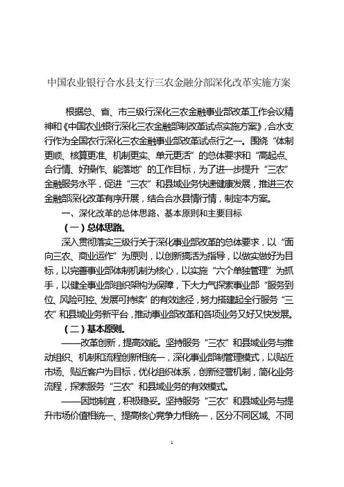 三农事业部实施方案