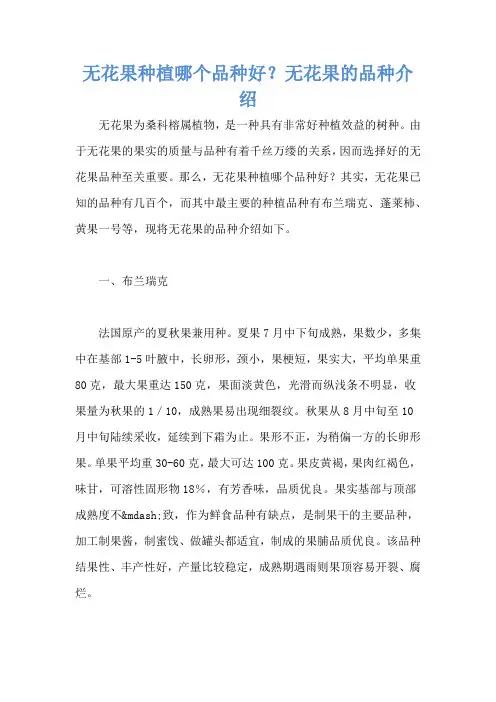 无花果种植哪个品种好？无花果的品种介绍