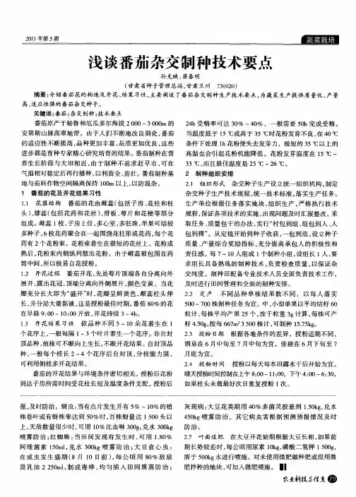 浅谈番茄杂交制种技术要点