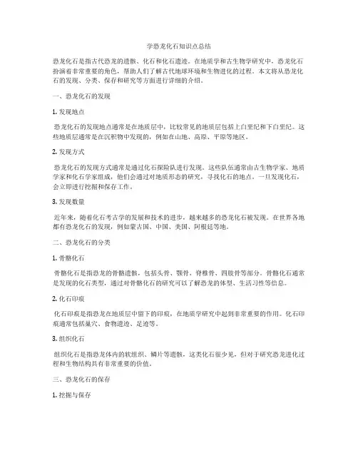 学恐龙化石知识点总结