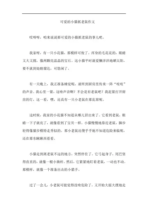 可爱的小猫抓老鼠作文