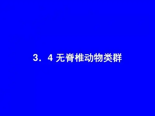 无脊椎动物类群
