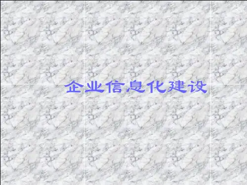 企业信息化建设方案PPT(47张)