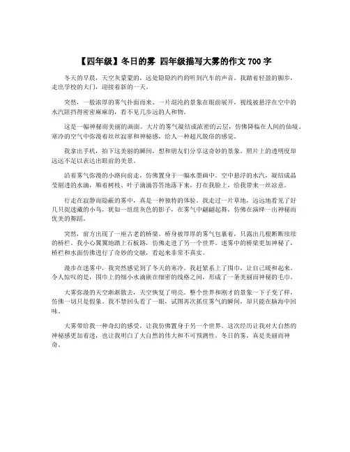 【四年级】冬日的雾 四年级描写大雾的作文700字
