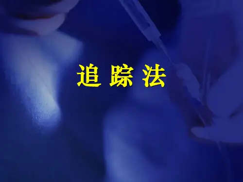 追踪法