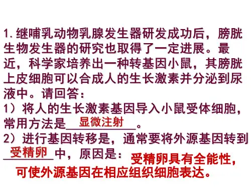 高二生物蛋白质工程的崛起