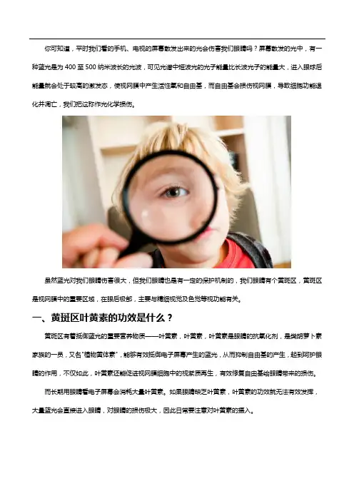 眼睛需要叶黄素的保护,叶黄素的功效你了解吗