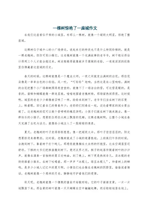 一棵树惊艳了一座城作文