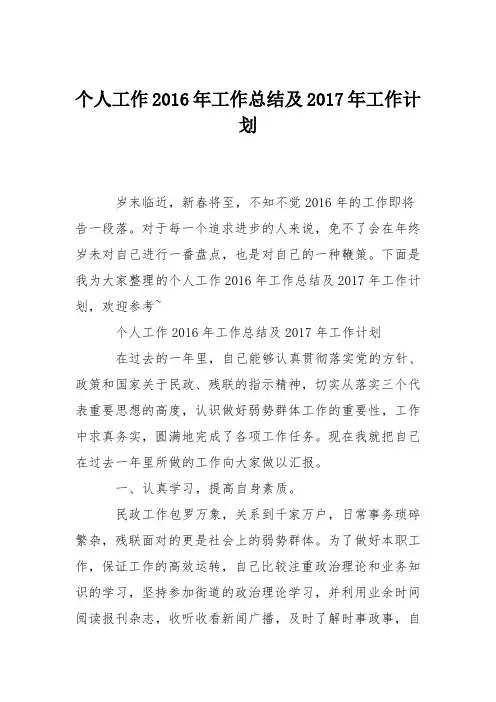 个人工作2016年工作总结及2017年工作计划