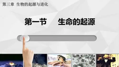 《生命的起源》初中生物公开课PPT课件