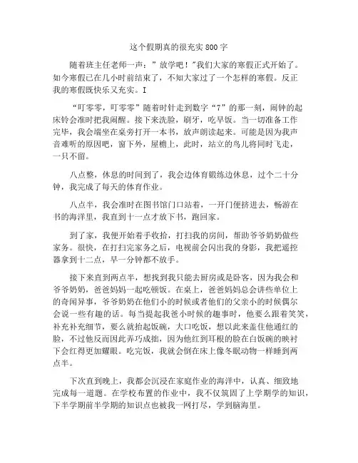 这个假期过得真充实作文800字