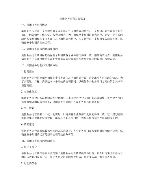 集团业务运营方案范文