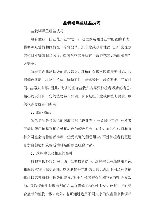 盆栽蝴蝶兰组盆技巧
