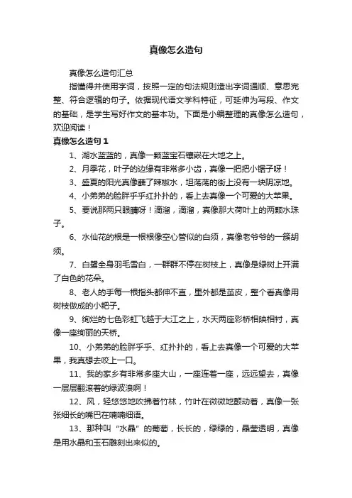 真像怎么造句汇总
