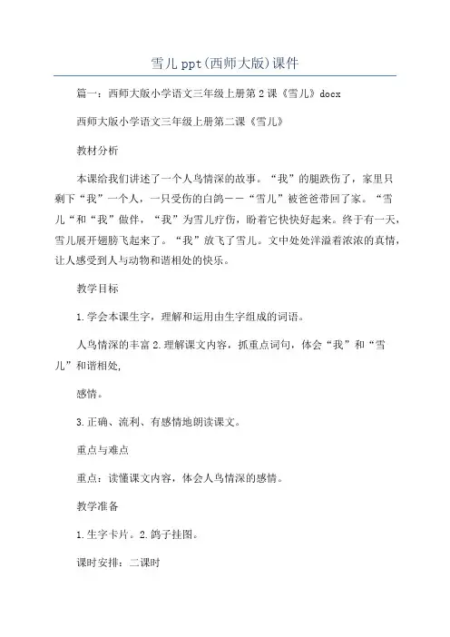 雪儿ppt(西师大版)课件