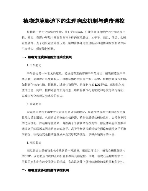 植物逆境胁迫下的生理响应机制与遗传调控