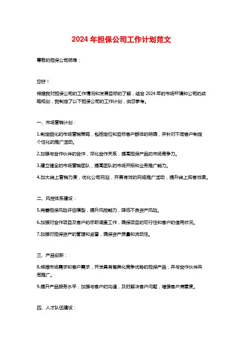 2024年担保公司工作计划范文