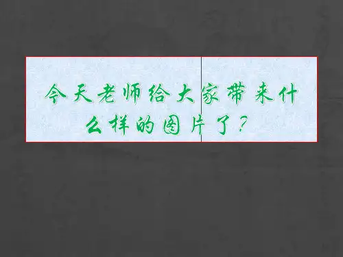 绘画中的透视现象-课件ppt