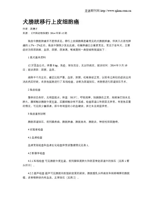 犬膀胱移行上皮细胞癌