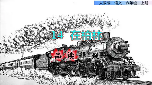 统编版小学语文六年级下册第四单元《14.在柏林》品读释疑课件PPT