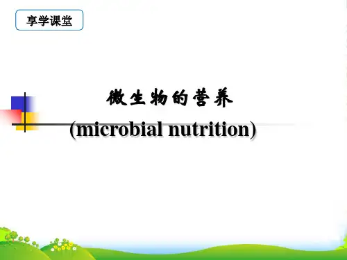 微生物的营养-课件