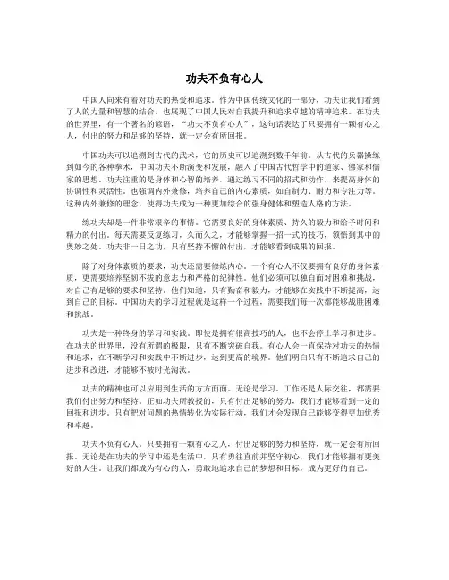 功夫不负有心人
