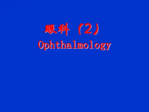 眼科检查、眼睑、泪器
