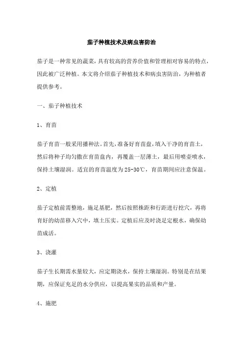 茄子种植技术及病虫害防治